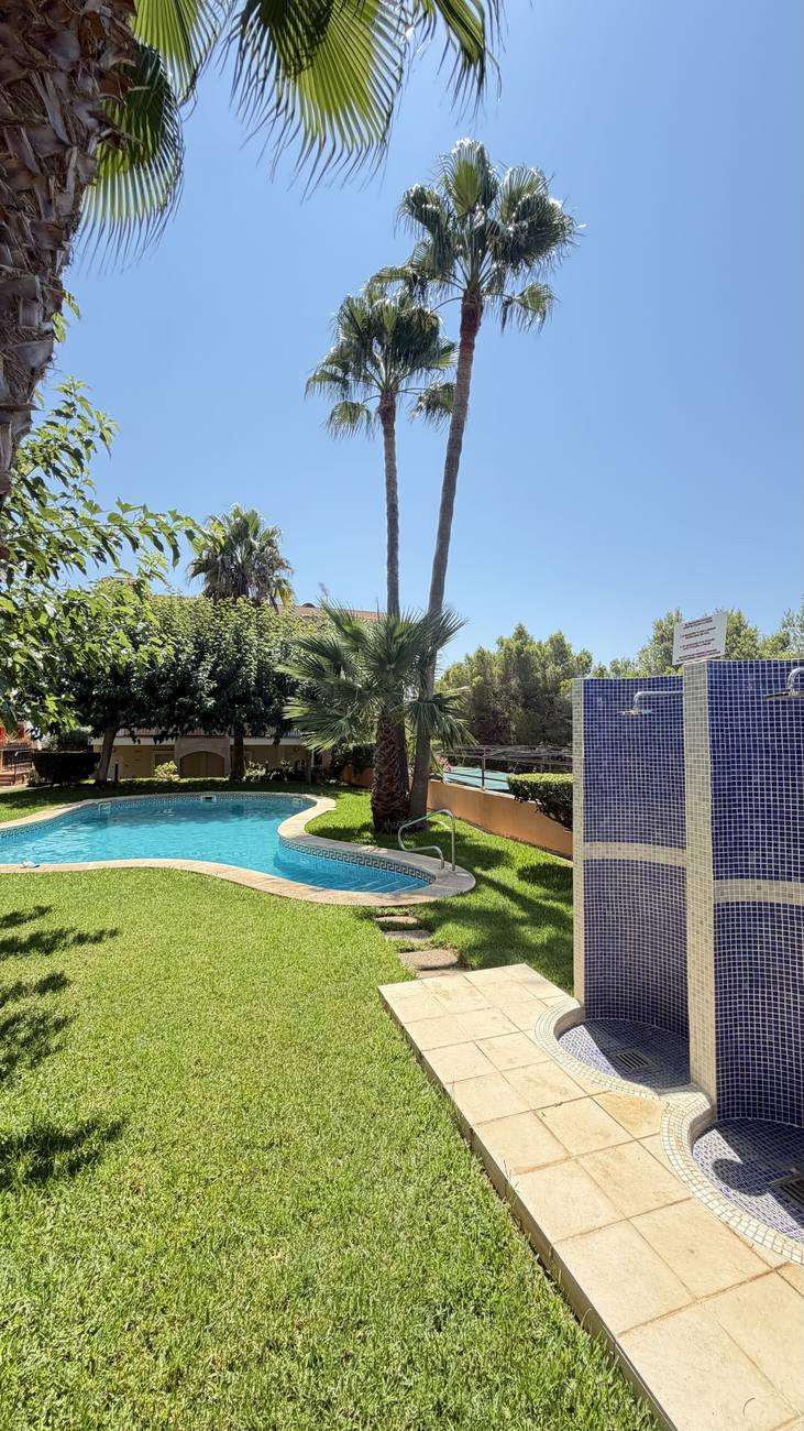 Pool im Garten unter Palmen
